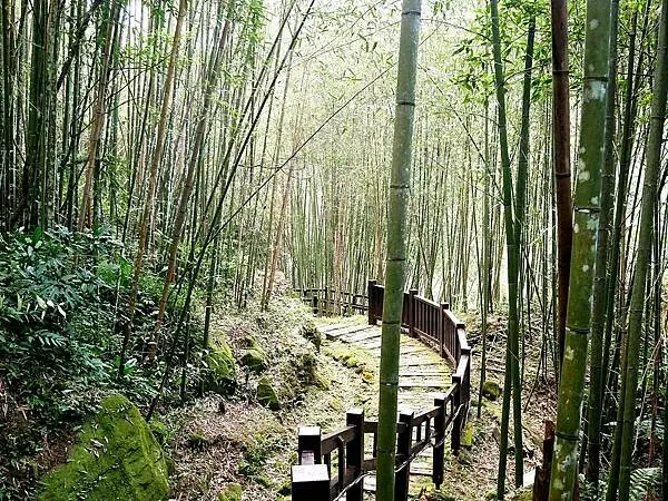 嘉義梅山景點推薦：圓潭自然生態園區