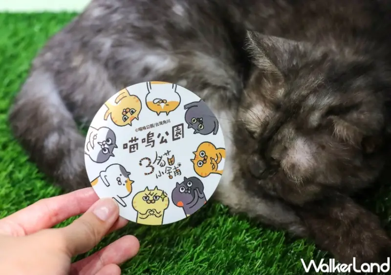 開飯囉！喵嗚公園小型草稿展 / WalkerLand窩客島提供 未經許可，不得轉載