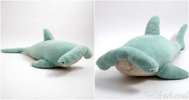 HOLA海洋系產品 / WalkerLand窩客島整理提供 未經許可，不得轉載