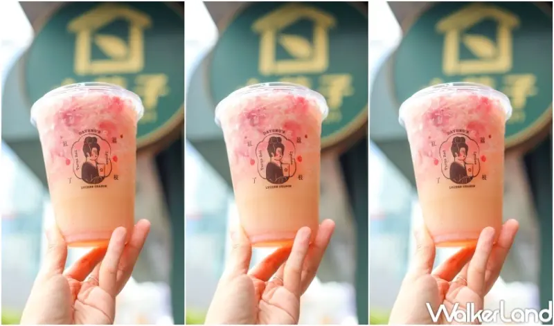 大苑子 荔枝系列 / WalkerLand窩客島整理提供 未經許可，不得轉載