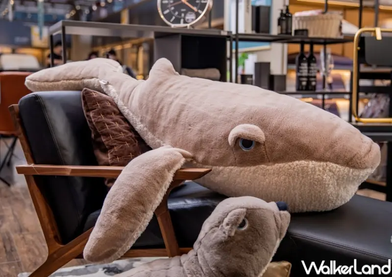 HOLA海洋系產品 / WalkerLand窩客島整理提供 未經許可，不得轉載