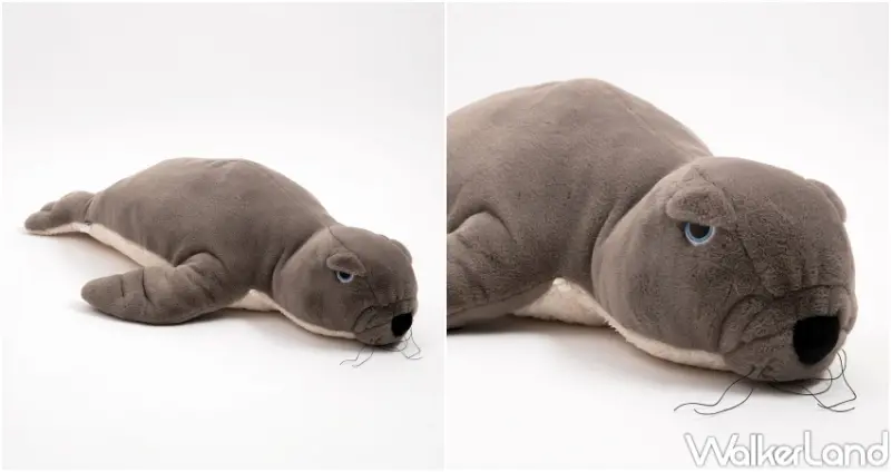 HOLA海洋系產品 / WalkerLand窩客島整理提供 未經許可，不得轉載