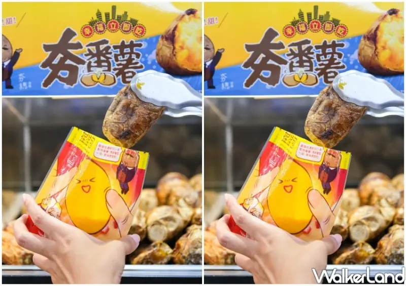 全家夯番薯 / WalkerLand窩客島整理提供 未經許可不可轉載