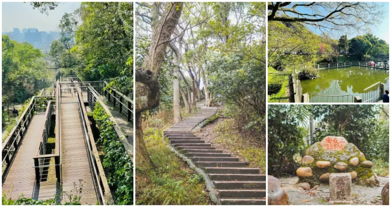 走入桃園人的私房景點！7條熱門打卡「桃園步道」風景超優美，空中飄浮「小烏來步道」、仙氣爆棚「迷霧森林步道」，拍到讓你流連忘返想再訪。