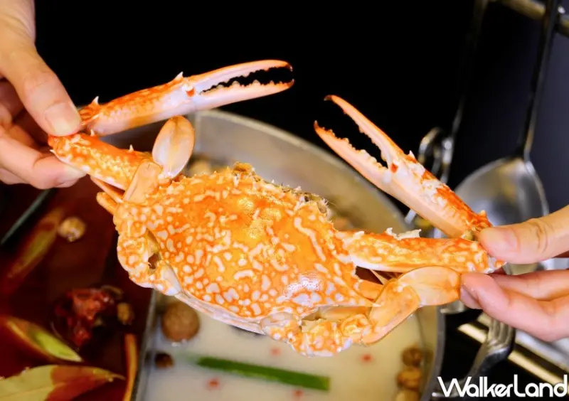 問鼎火鍋吃到飽 / WalkerLand窩客島整理提供 未經許可不可轉載