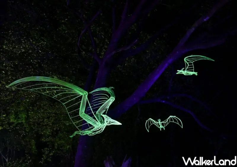 金門星光節 / WalkerLand窩客島整理提供 未經許可不可轉載