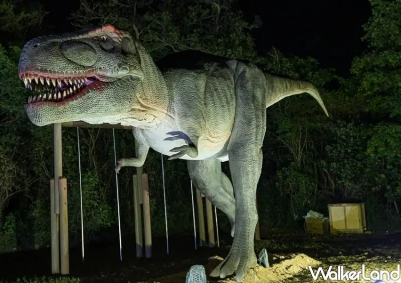 金門星光節 / WalkerLand窩客島整理提供 未經許可不可轉載