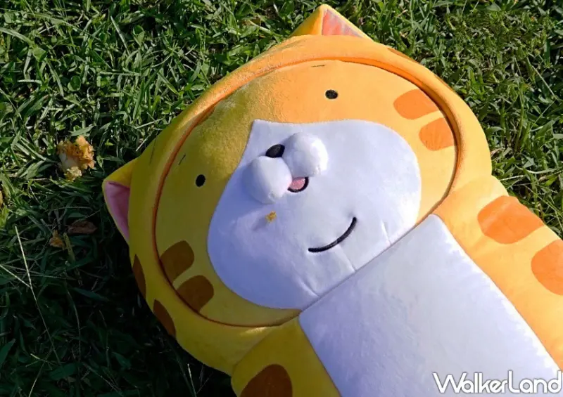 楽玩多「白爛貓野餐系列」 / WalkerLand窩客島整理提供 未經許可不可轉載