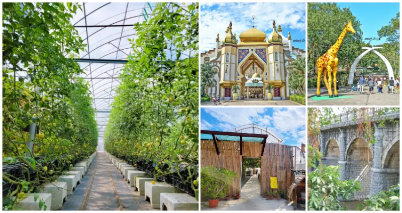 帶你深入關西之美！新竹必訪7個「關西一日遊景點」清單，坐擁河畔美景「百年秘境古橋」、步道控激推「綠光小學」，古蹟大自然一次全網羅。