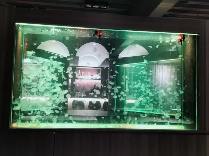 嘉義最美氣氛水母牆餐酒館-Lazy house餐酒館