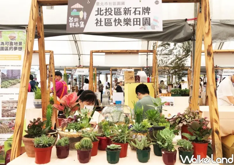 圓山花博公園「2022 台北野市集」 / WalkerLand窩客島整理提供 未經許可不可轉載