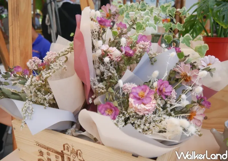 圓山花博公園「2022 台北野市集」 / WalkerLand窩客島整理提供 未經許可不可轉載