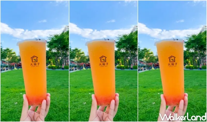 大苑子 柚見百香 / WalkerLand窩客島提供 未經許可，不得轉載