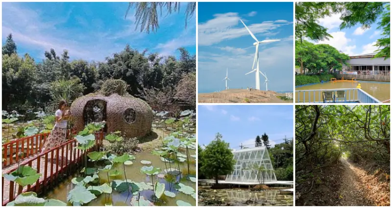 揭開觀音最美面紗！桃園超熱門7個「觀音打卡景點」大公開，台版撒哈拉「沙丘世界」、承重上百公斤「超霸氣蓮葉」，拍爆桃園最自然景點。