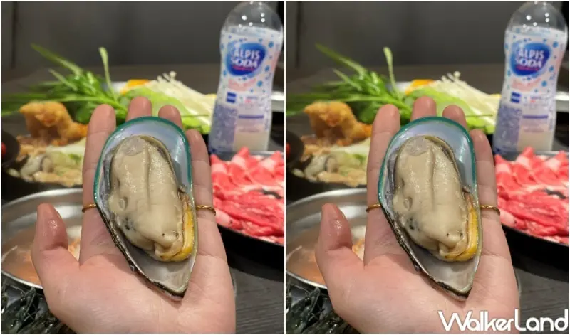 千葉火鍋10月優惠 / WalkerLand窩客島整理提供 未經許可，不得轉載