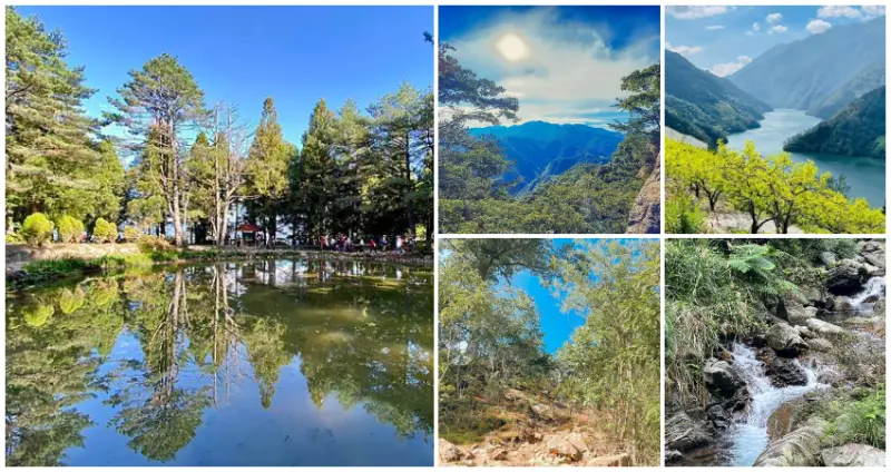 搶攻步道激戰區!台中必訪7個「和平一日遊景點」大蒐羅,綠樹倒映「天池農場」、隱藏景點「香杉林步道」,台中人的私房景點帶你走一輪。