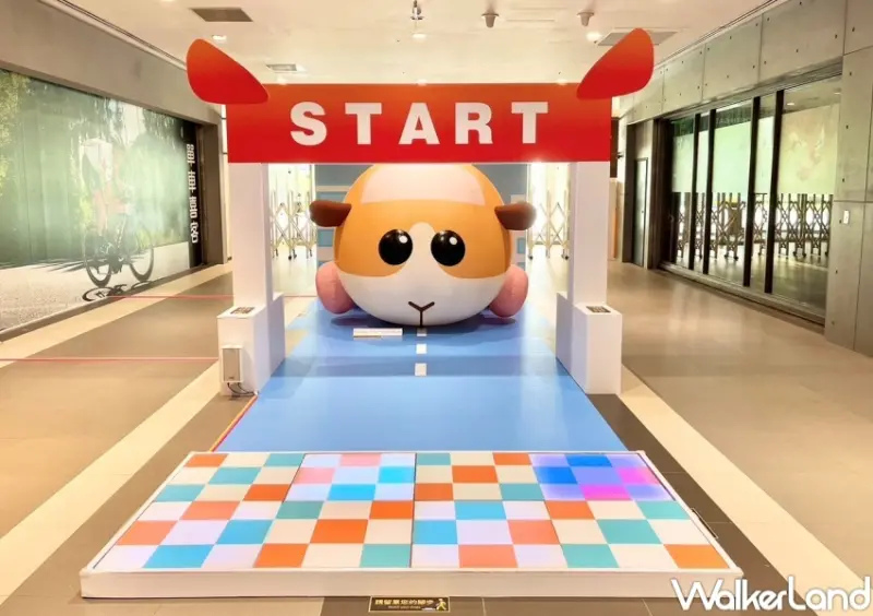 MITSUI OUTLET PARK 天竺鼠車車快閃活動 / WalkerLand窩客島整理提供 未經許可，不得轉載