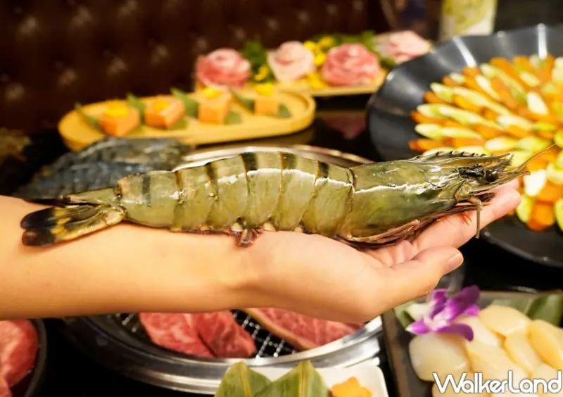 「哞哞屋和牛燒肉」10月壽星優惠 / WalkerLand窩客島整理提供 未經許可不可轉載