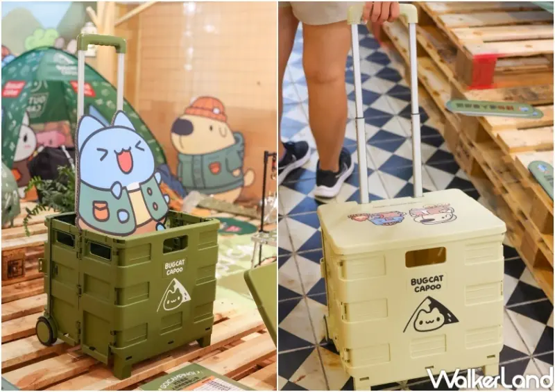 貓貓蟲咖波凹豆好日子 / WalkerLand窩客島提供 未經許可，不得轉載