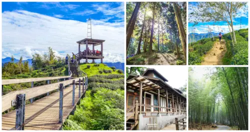 探索鹿谷森林之美！南投必訪7個「鹿谷一日遊景點」綠意滿點，雲霧仙境「銀杏森林」、全台最美「森林小學」，享受被綠林擁抱的片刻悠然。