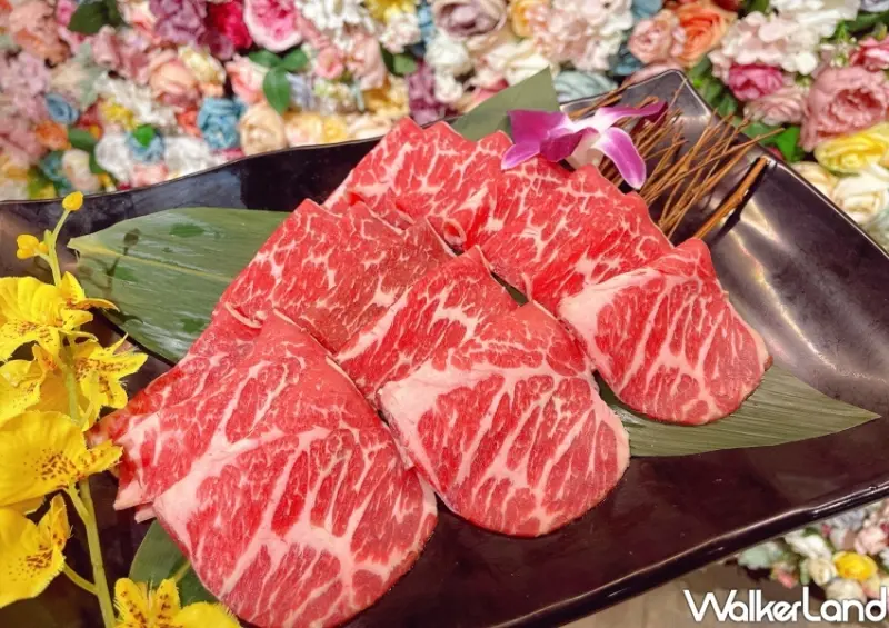 「新馬辣、新馬辣Plus+」10月壽星優惠 / WalkerLand窩客島整理提供 未經許可不可轉載