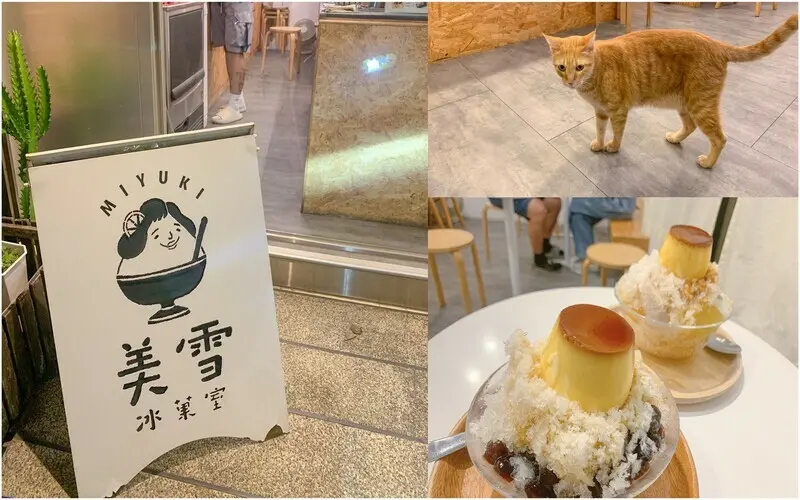 【台南甜點】東區 美雪冰菓室│隱密巷弄日系冰店│手工布丁超好吃│超可愛店貓陪伴│