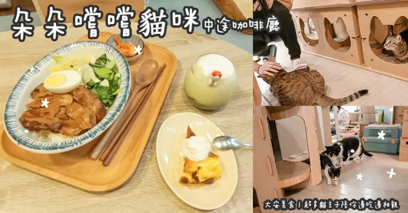 大安美食。朵朵嚐嚐貓咪中途咖啡廳  超多貓主子陪你邊吃邊相親