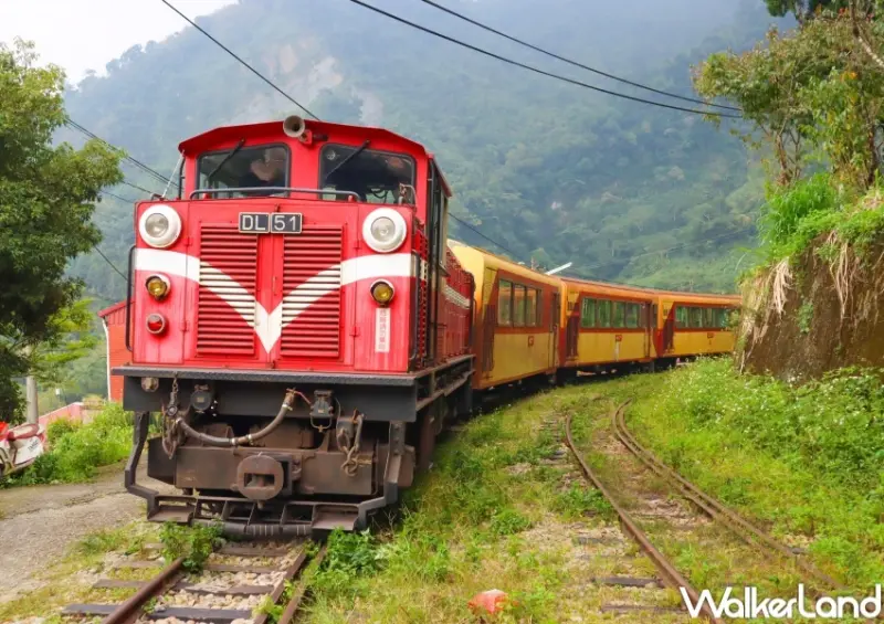 交通部觀光局「凰金」樂齡旅遊 / WalkerLand窩客島提供 未經許可，不得轉載