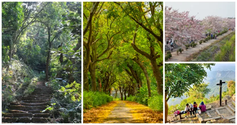台南最美步道全蒐羅！步道控必訪7條「台南步道」要先衝，壯麗絕美「欒樹綠道」、水火同源「碧雲火泉步道」，深入台南不為人知的仙境。