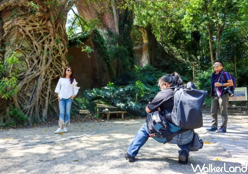 交通部觀光局「凰金」樂齡旅遊 / WalkerLand窩客島提供 未經許可，不得轉載