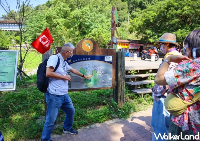 交通部觀光局「凰金」樂齡旅遊 / WalkerLand窩客島提供 未經許可，不得轉載