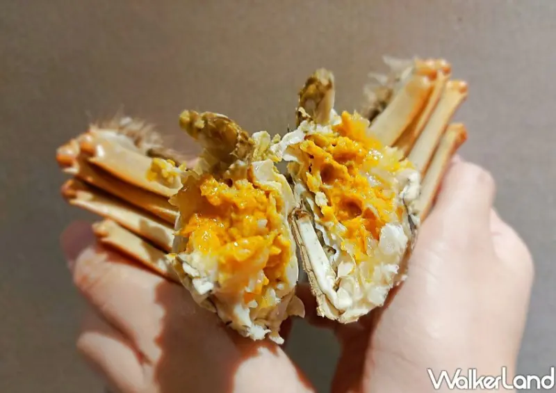 善導寺美食「古北饕」秋蟹料理/ WalkerLand窩客島整理提供 未經許可不可轉載