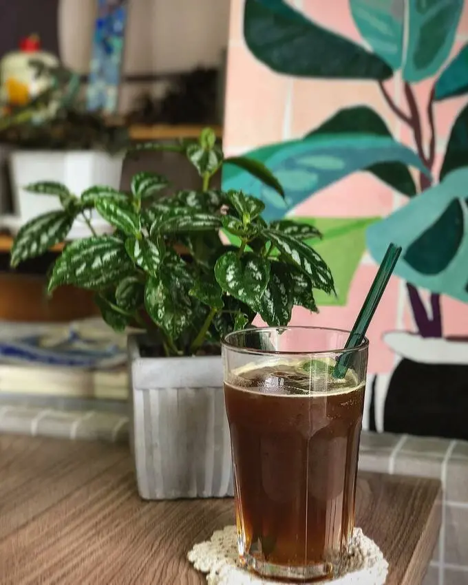 Belle Café 帶給我的恩典 無限的喜樂 最提神 最好喝 最親民的咖啡店