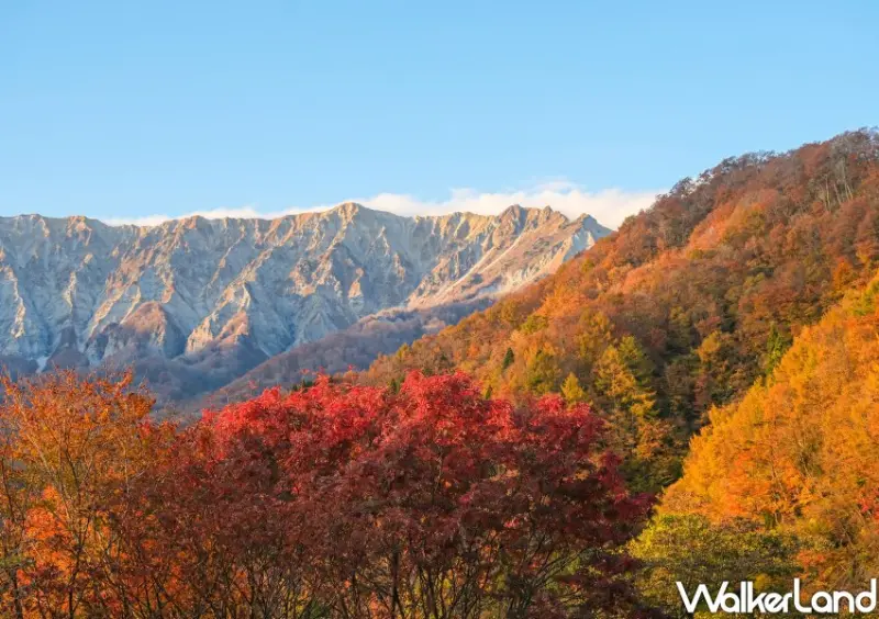 日本旅遊「鳥取境港水產直賣中心」 / WalkerLand窩客島整理提供 未經許可不可轉載