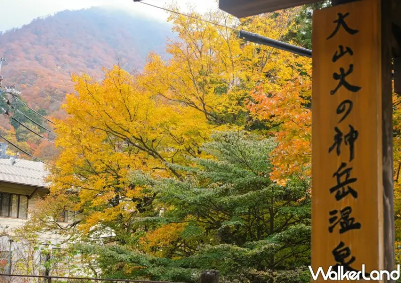 日本旅遊「鳥取⼤山寺賞楓」 / WalkerLand窩客島整理提供 未經許可不可轉載