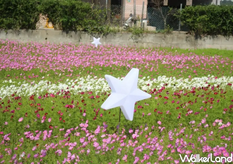 2022桃園花彩節「花宇奇航」 / WalkerLand窩客島整理提供 未經許可不可轉載