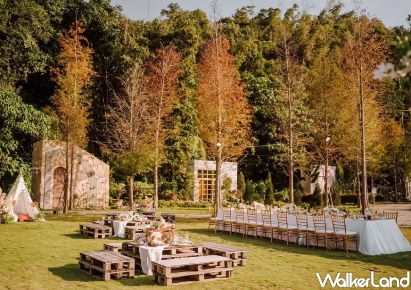 青青食尚花園會館 「秋賞·青青落羽松變色季-星空下派對」 / WalkerLand窩客島整理提供 未經許可，不得轉載