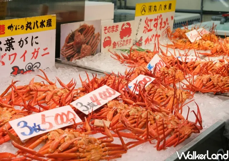 日本旅遊「鳥取境港水產直賣中心」 / WalkerLand窩客島整理提供 未經許可不可轉載