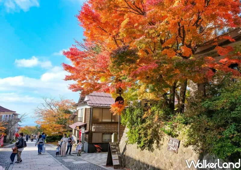 日本旅遊「鳥取⼤山寺賞楓」 / WalkerLand窩客島整理提供 未經許可不可轉載