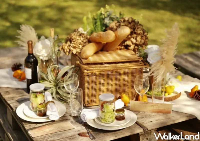 青青食尚花園會館 「秋賞·青青落羽松變色季-星空下派對」 / WalkerLand窩客島整理提供 未經許可，不得轉載