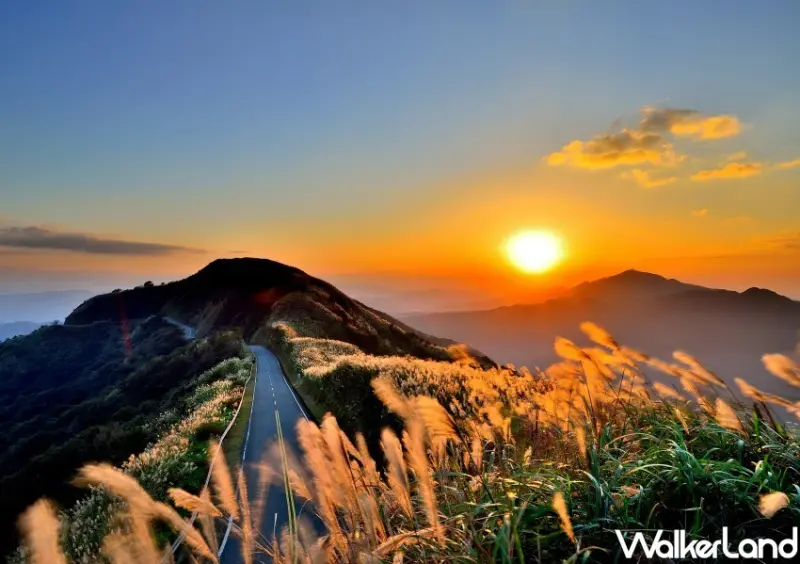 瑞芳九份芒花景點 / WalkerLand窩客島整理提供 未經許可不可轉載