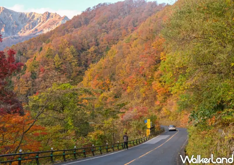 日本旅遊「鳥取鍵掛峠展望台賞楓」 / WalkerLand窩客島整理提供 未經許可不可轉載