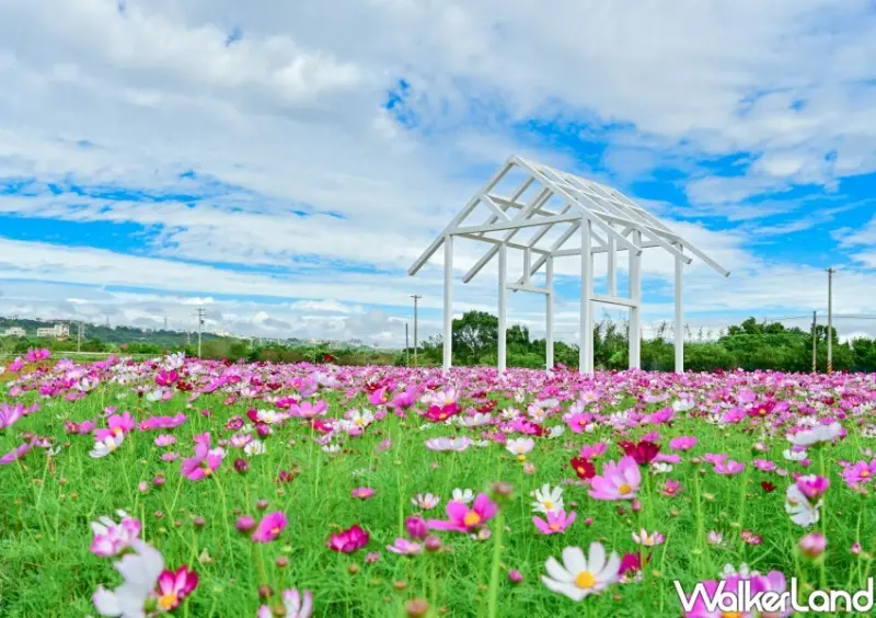 2023桃園花彩節  大溪月眉休閒農業區/ WalkerLand窩客島整理提供 未經許可不可轉載