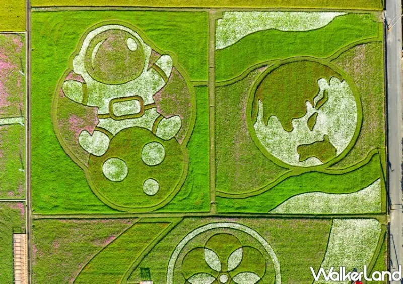 2022桃園花彩節「花宇奇航」 / WalkerLand窩客島整理提供 未經許可不可轉載