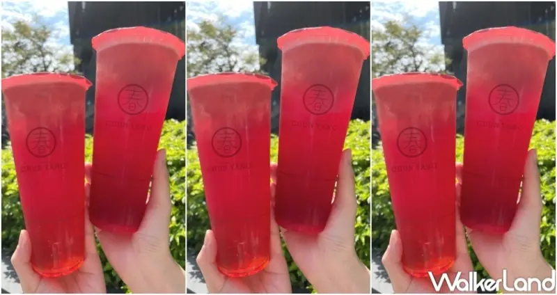 春陽茶事 雙11優惠活動 / WalkerLand窩客島整理提供 未經許可，不得轉載