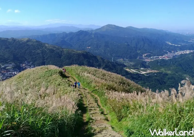 瑞芳九份芒花景點 / WalkerLand窩客島整理提供 未經許可不可轉載