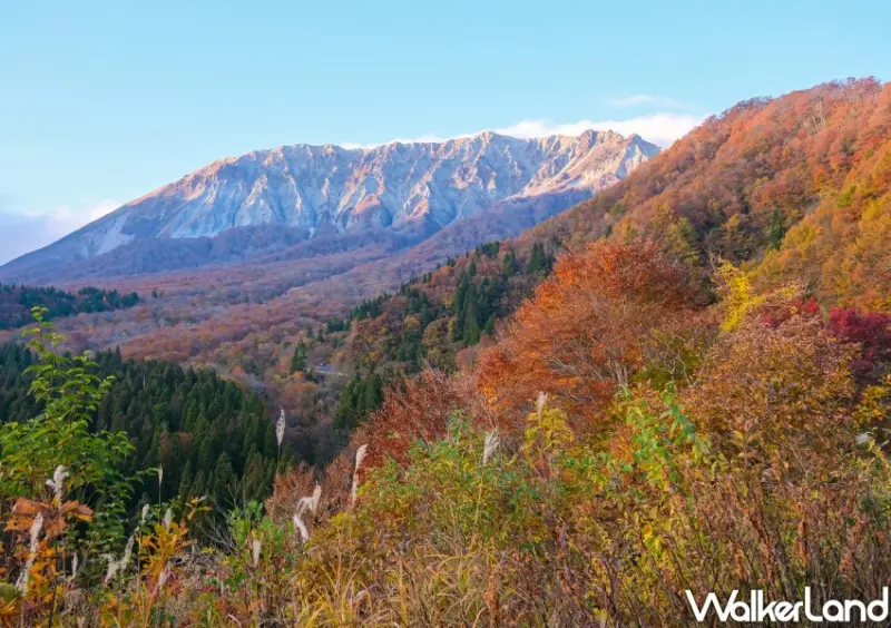 日本旅遊「鳥取鍵掛峠展望台賞楓」 / WalkerLand窩客島整理提供 未經許可不可轉載