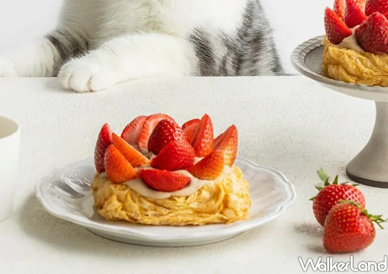 食芋堂 草莓季 / WalkerLand窩客島整理提供 未經許可不可轉載