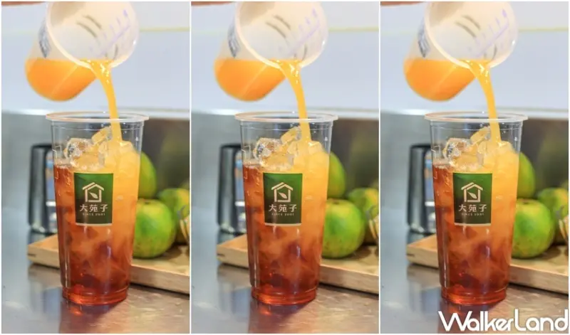 大苑子 / WalkerLand窩客島提供 未經許可，不得轉載