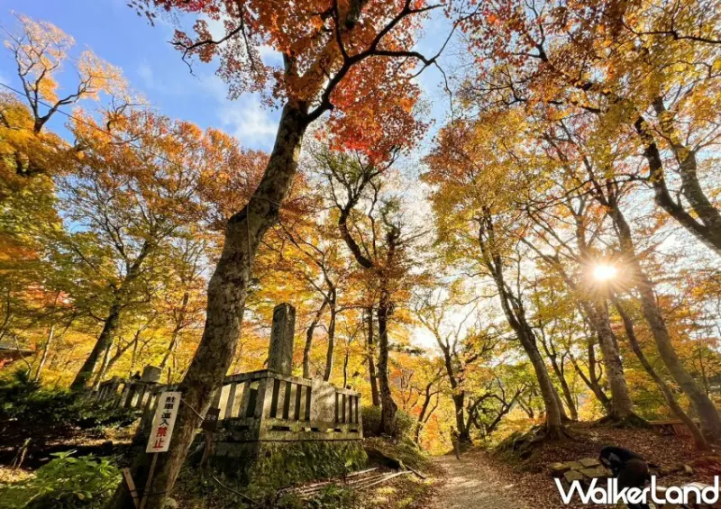 日本旅遊「鳥取⼤山寺賞楓」 / WalkerLand窩客島整理提供 未經許可不可轉載
